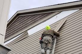 Best Historical Building Siding Restoration  in Kurtistown, HI